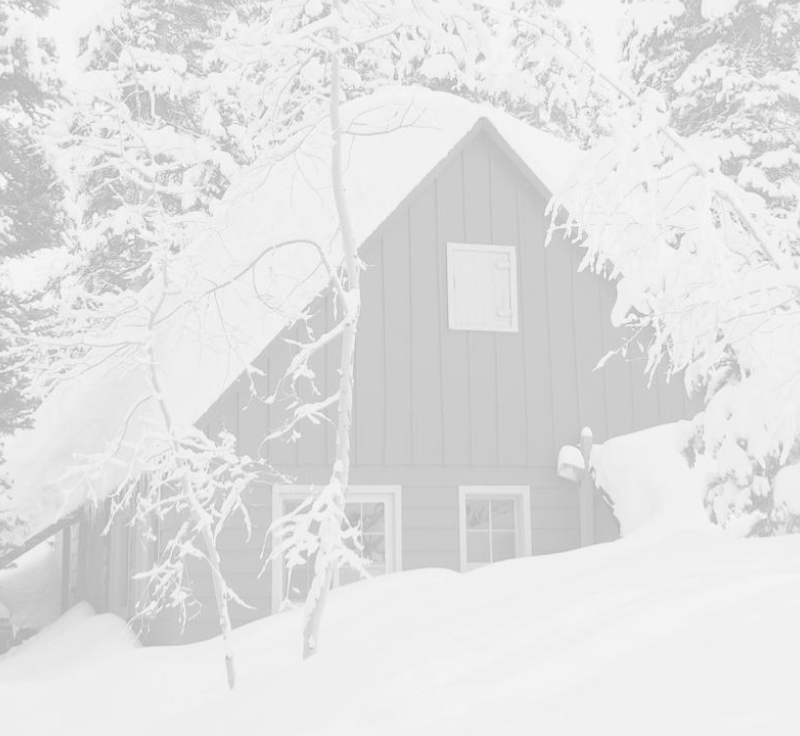 Zoom Home Inspections commitment to realtors header image with winter home