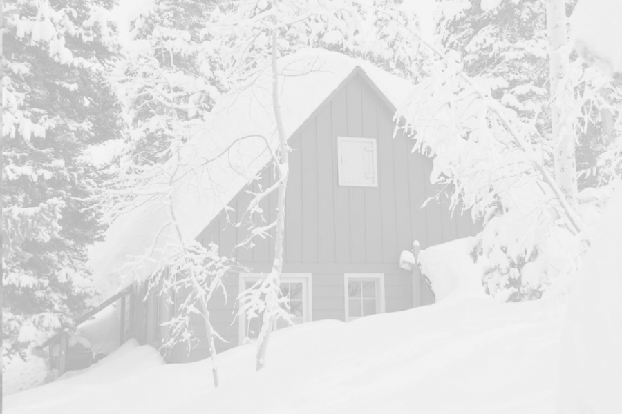 Zoom Home Inspections commitment to realtors header image with winter home